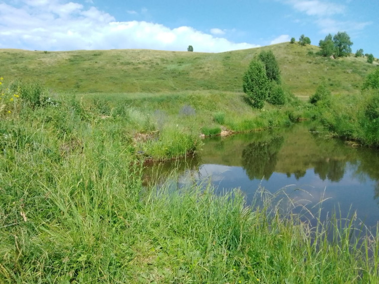 Родительский патруль на воде.