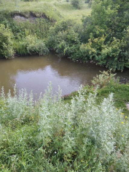 Родительский патруль на воде.